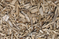 biomass boilers Perlethorpe